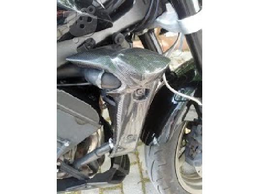 YAMAHA FZ1, Fazer 